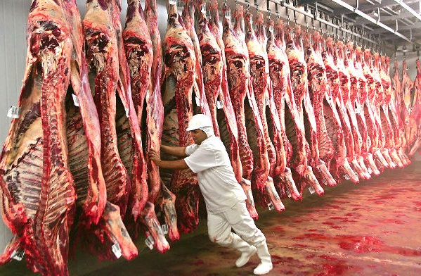 Arroba do boi cai 15% e preço da carne deve diminuir